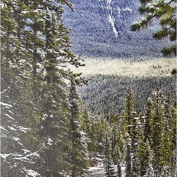 🍒Free Gift with 3+ items purchased🍒. Original Artist Photography on Canvas - Picture 4 of 9